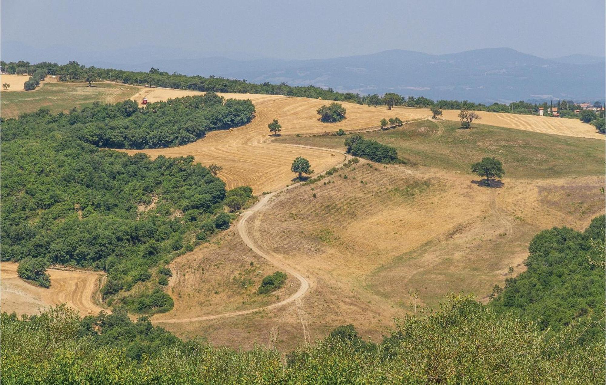 La Querciola Villa Seggiano Dış mekan fotoğraf