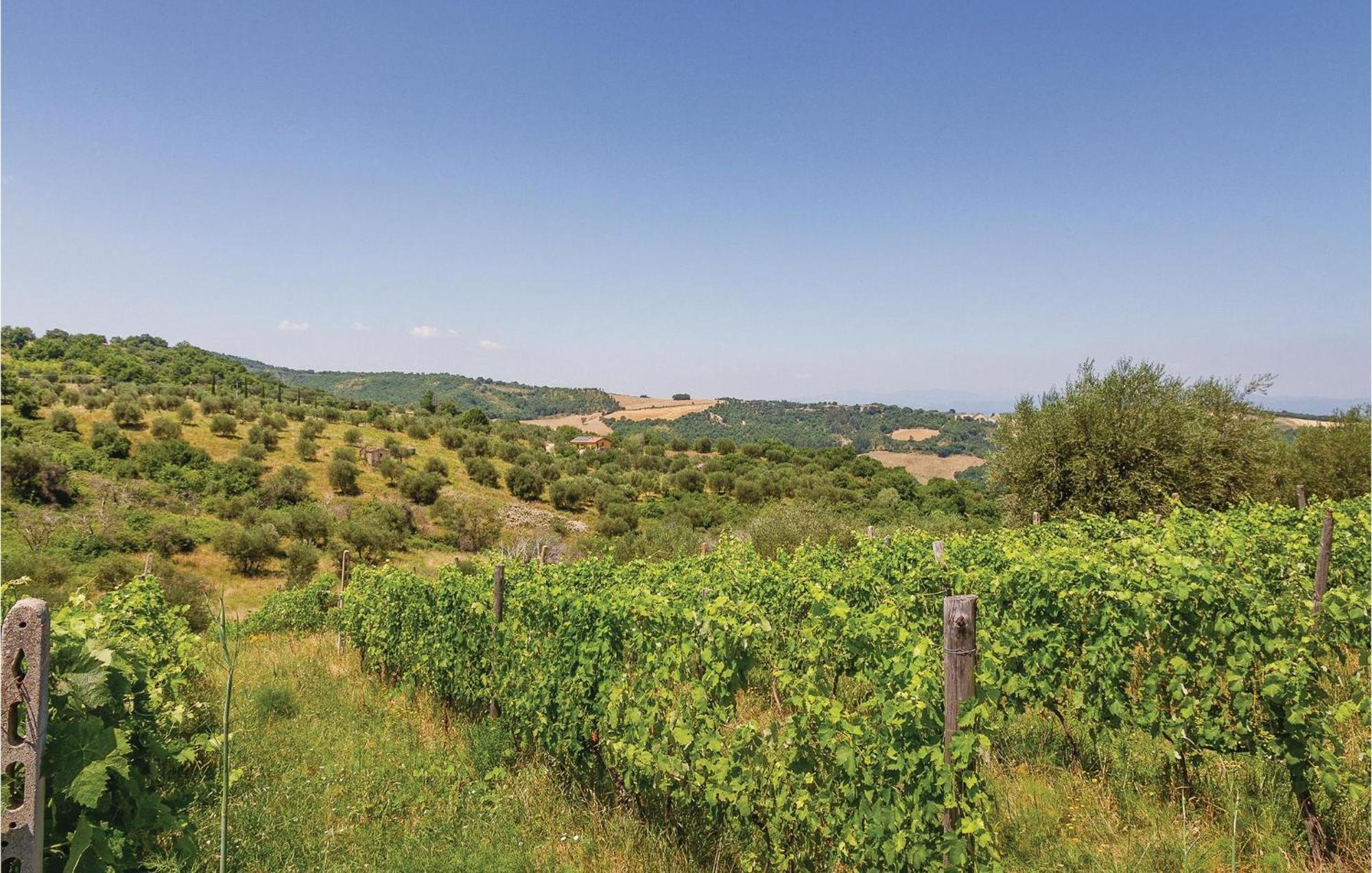 La Querciola Villa Seggiano Dış mekan fotoğraf